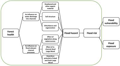 Synergies and trade-offs in the management objectives forest health and flood risk reduction